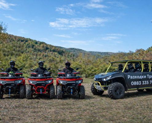 viber_image_2026-02-17_14-38-32-232